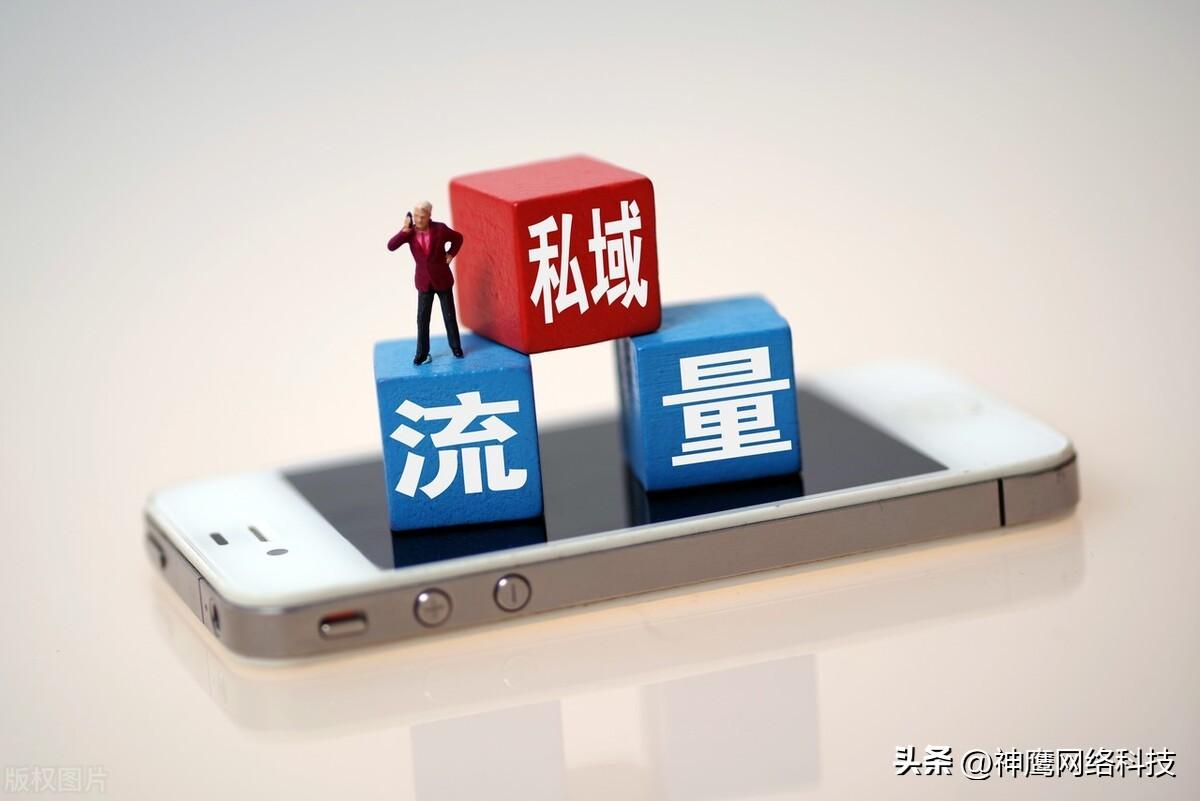 企业为什么要做私域（私域客户如何发展和运营）