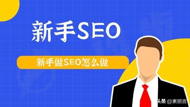 新手如何自学seo（seo企业网络推广培训）