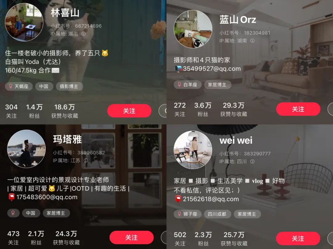 小众品牌如何发展（一个“盆”卖365元还爆火凭什么）