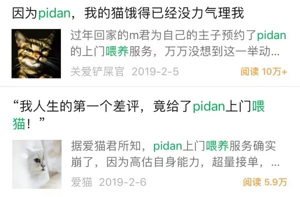 小众品牌如何发展（一个“盆”卖365元还爆火凭什么）