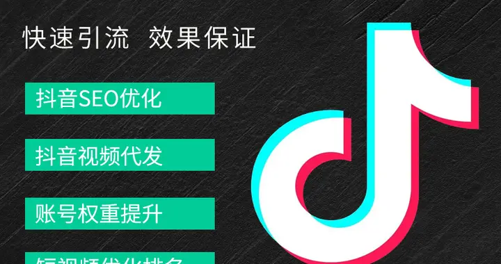 抖音SEO排名系统（抖音搜索引擎推广）