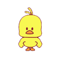 小黄鸭为什么在抖音那么火（抖音网红黄小鸭视频）