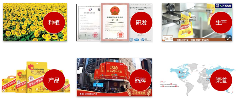 洽洽品牌理念（洽洽品牌年轻化玩出新花样）