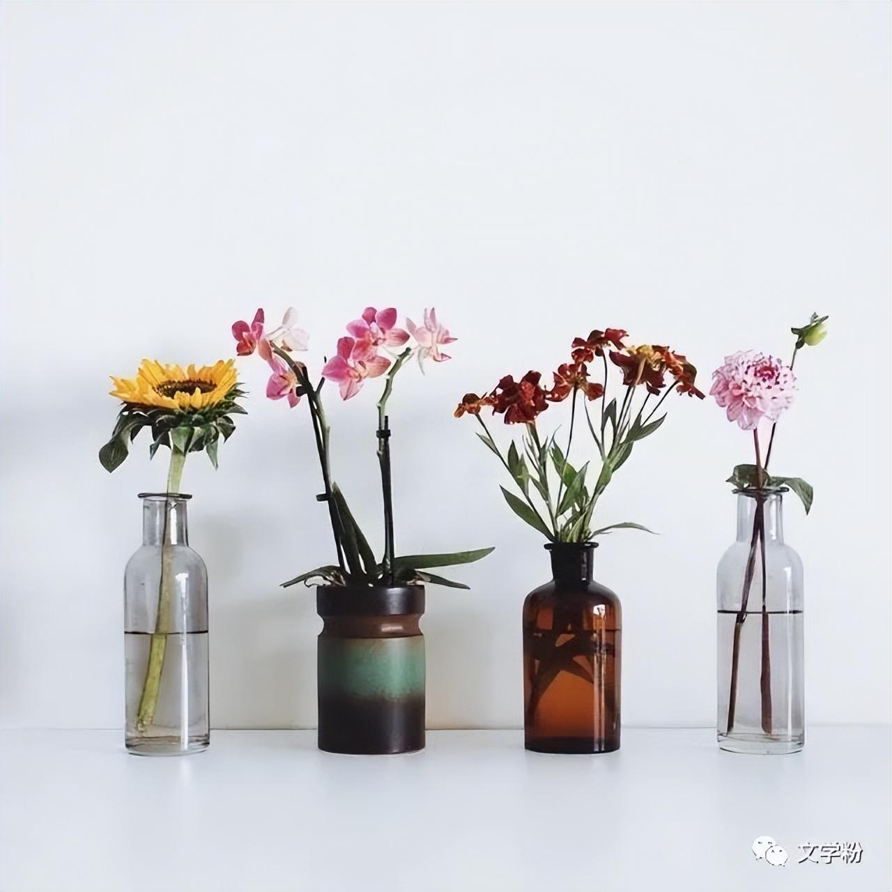 抖音最近上热门的文案（抖音涨粉是怎么做到的）