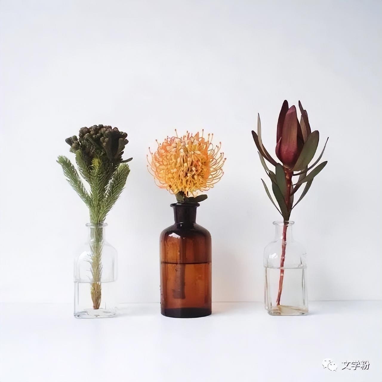 抖音最近上热门的文案（抖音涨粉是怎么做到的）