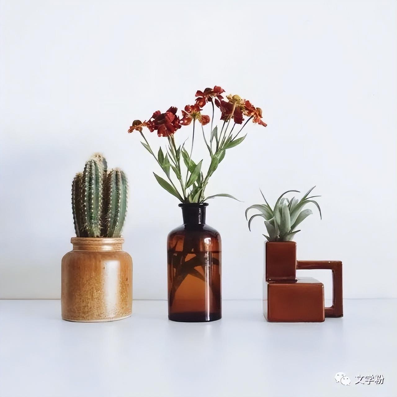 抖音最近上热门的文案（抖音涨粉是怎么做到的）