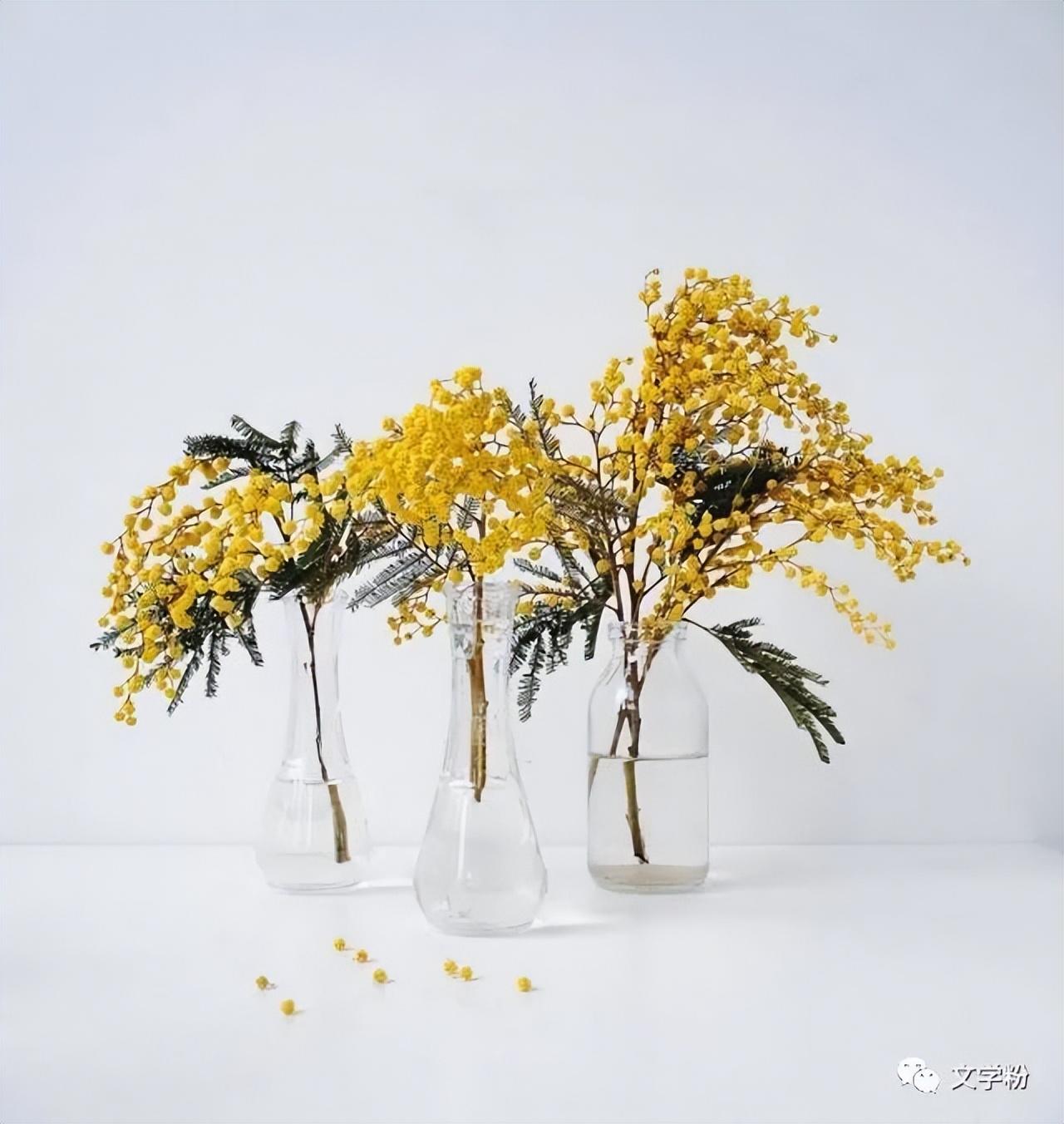抖音最近上热门的文案（抖音涨粉是怎么做到的）