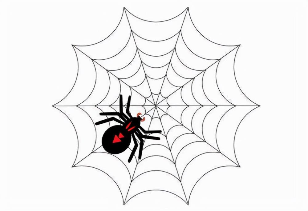 网站怎么吸引蜘蛛（seo蜘蛛分析）