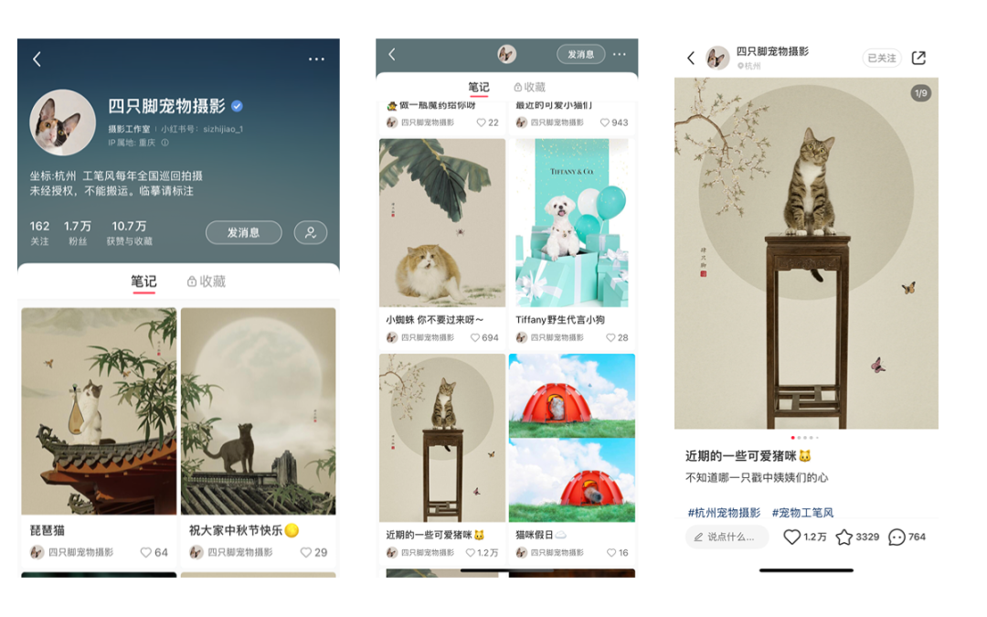 小红书代运营需要做什么（近期关于代运营6点思考）