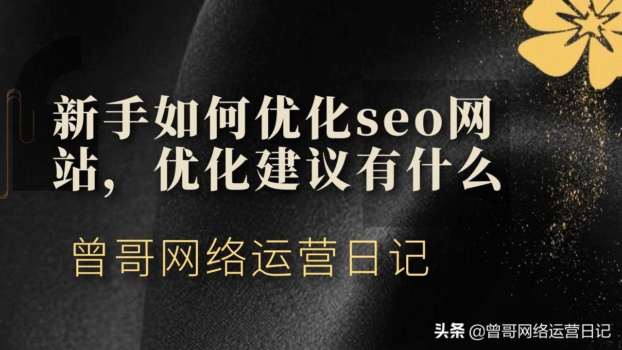 seo网站内部优化方案（网站优化与seo的方法）