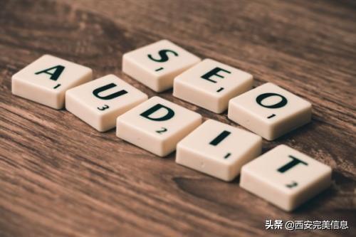 seo的主要内容及优化要求（seo网站制作优化）