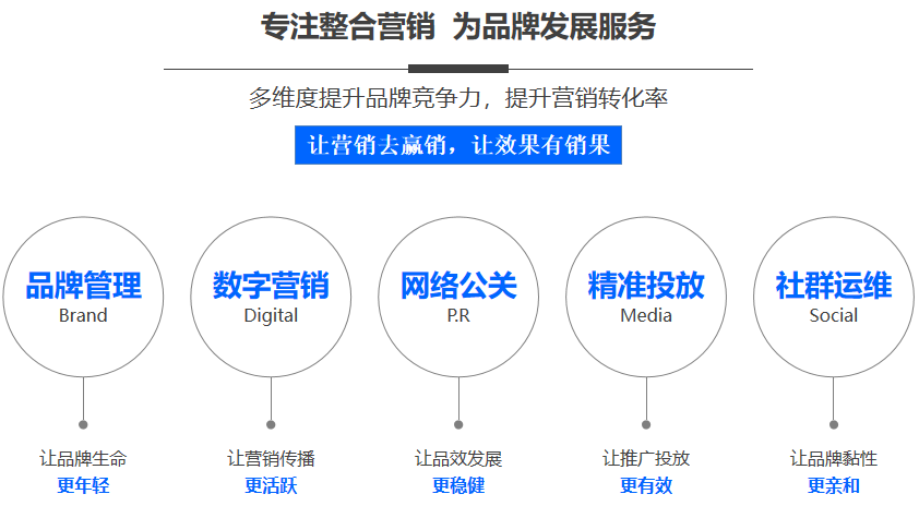 网站如何进行seo（seo制作方案）