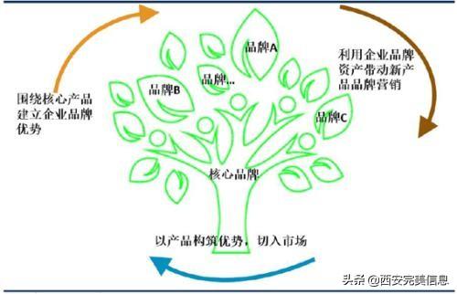 seo站内优化的重点（网站SEO优化方法）