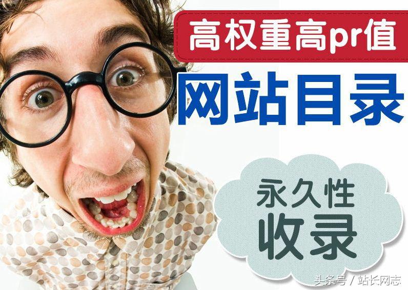 分类目录网站有哪些（分类目录网站好做排名吗）