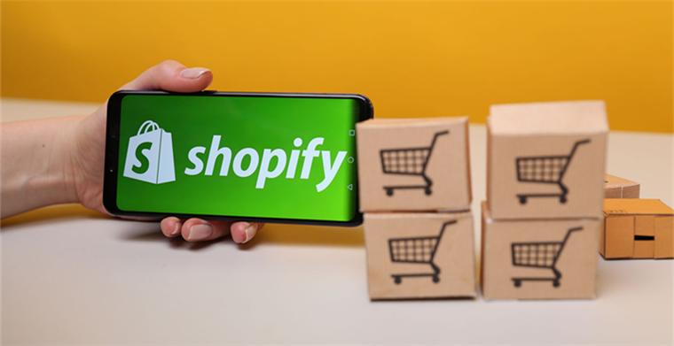 shopify网站优化（网站海外推广谷歌seo方案）