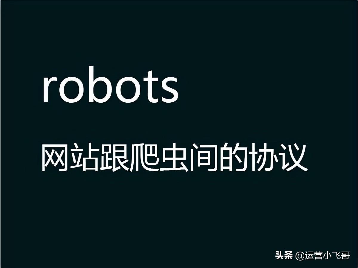 网站seo内容优化（robots文件的作用）