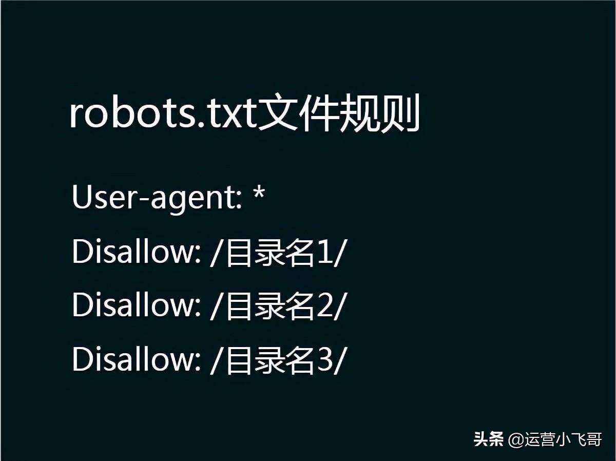 网站seo内容优化（robots文件的作用）