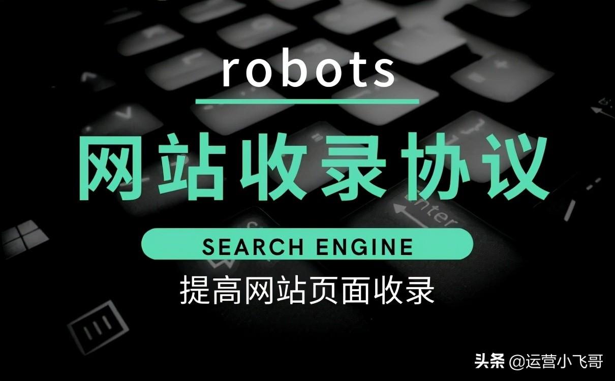 网站seo内容优化（robots文件的作用）