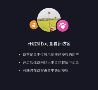抖音能看到访客记录吗（抖音作品置顶是怎么设置的）
