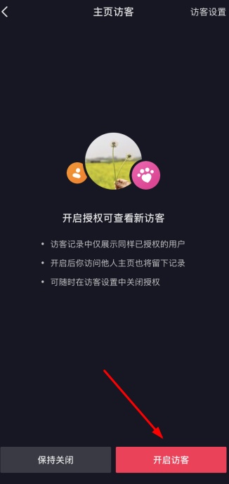 抖音能看到访客记录吗（抖音作品置顶是怎么设置的）