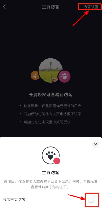抖音能看到访客记录吗（抖音作品置顶是怎么设置的）