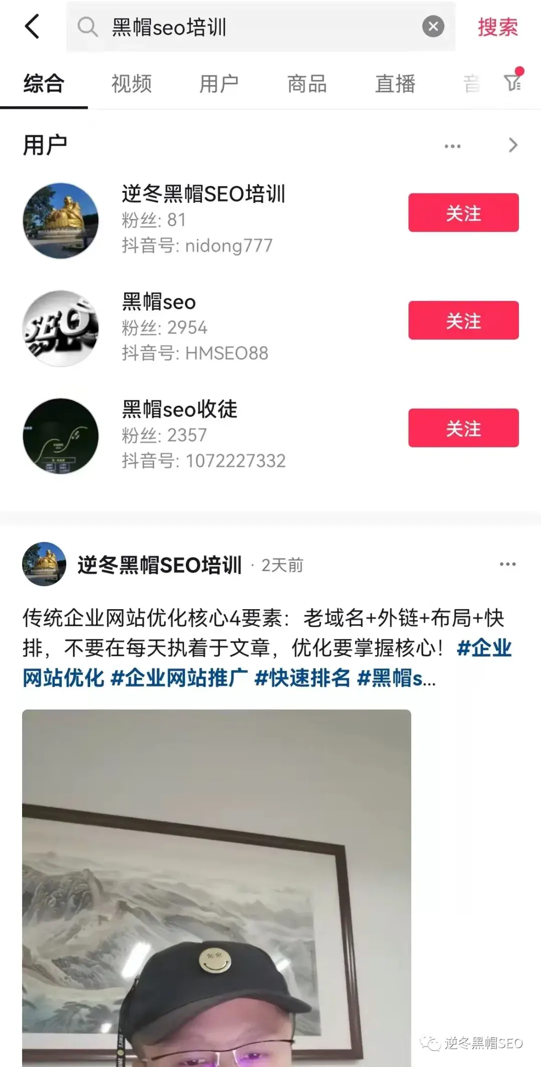 抖音SEO优化（抖音seo关键词排名技术）