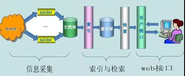 seo权重标签有哪些类型（网站标签的优化技巧）