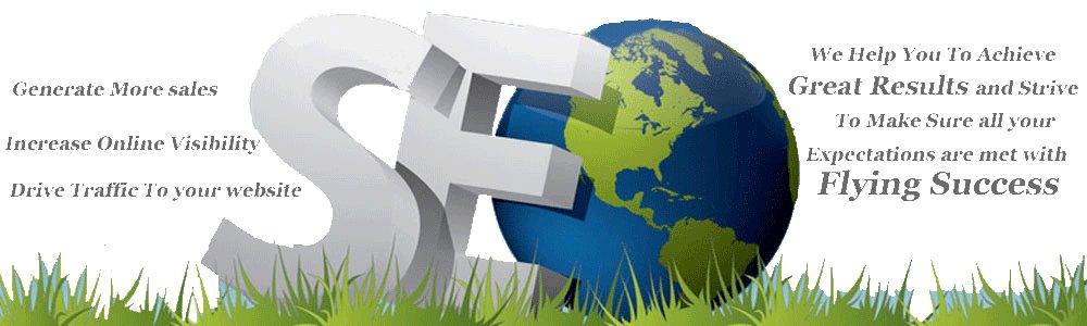 搜索引擎优化包括什么优化（seo网页优化包括哪些内容）