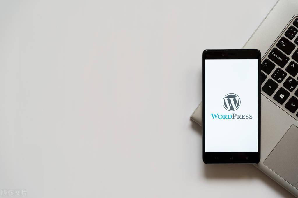 wordpress 301插件（wordpress 301重定向）