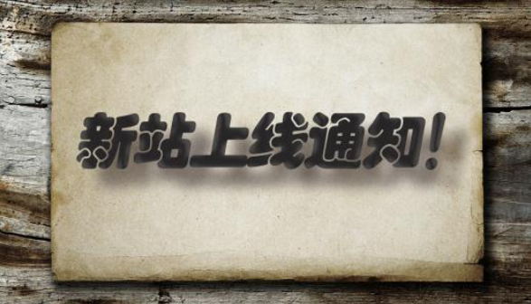 如何进行网站运营和推广（如何运营新网站推广）
