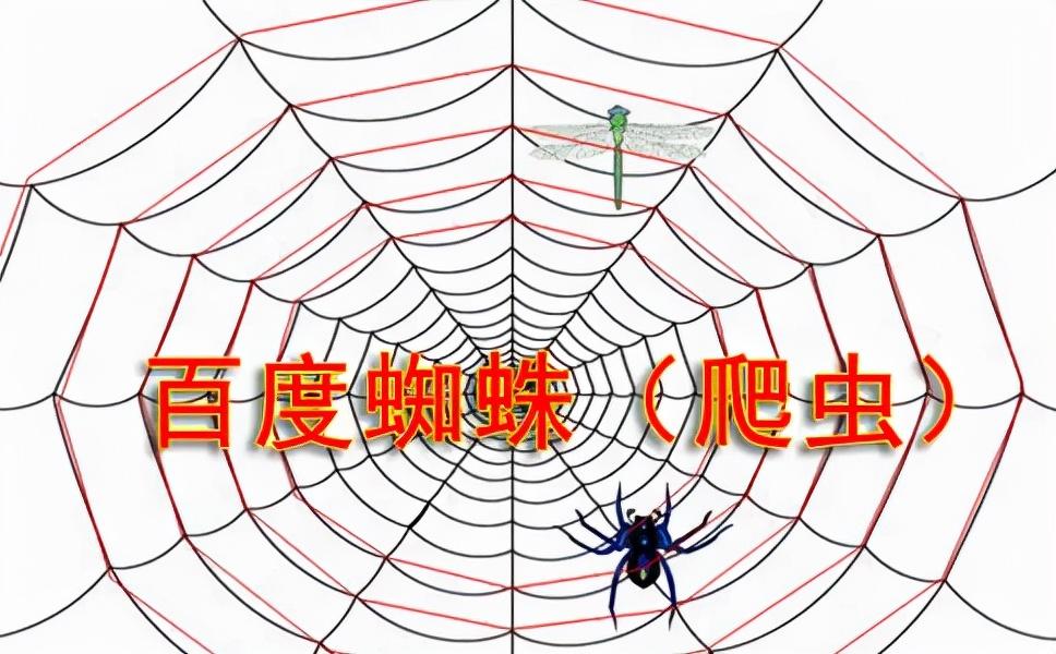 抓取频次一般是多少（百度抓取测试能不能引蜘蛛）