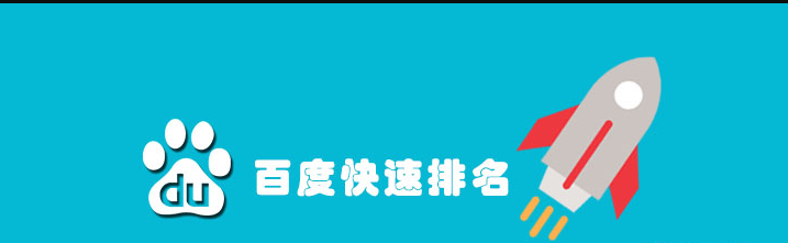 seo快速排名利器（快排是怎么操作的）