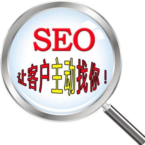 seo搜索引擎优化策略（搜索引擎优化效果评估）