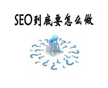 做网站SEO优化（seo网站优优化案例）