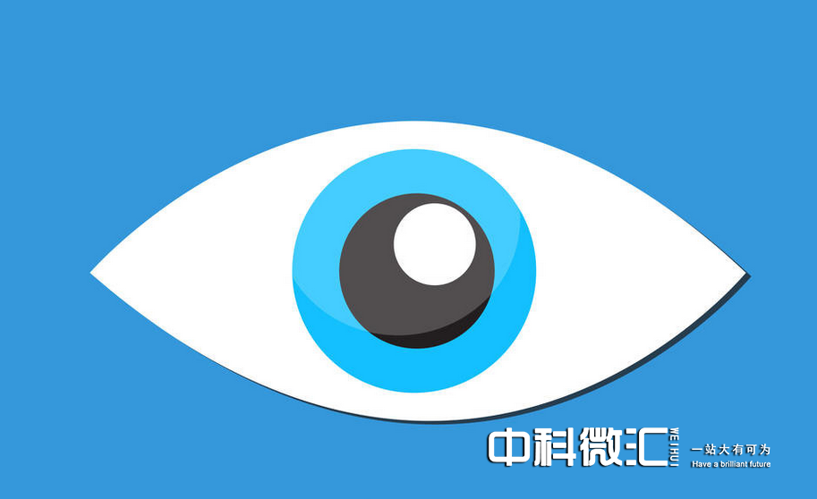 网站如何做关键词优化（网站维护和优化）