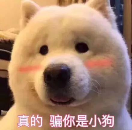 信息流优化和seo差别（信息流优化的优化思路）