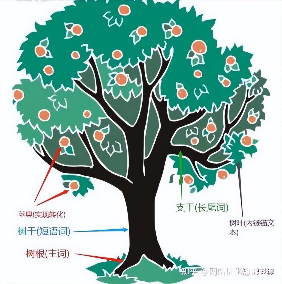 关键词优化的内容有哪些（关键词快速排名seo怎么优化）