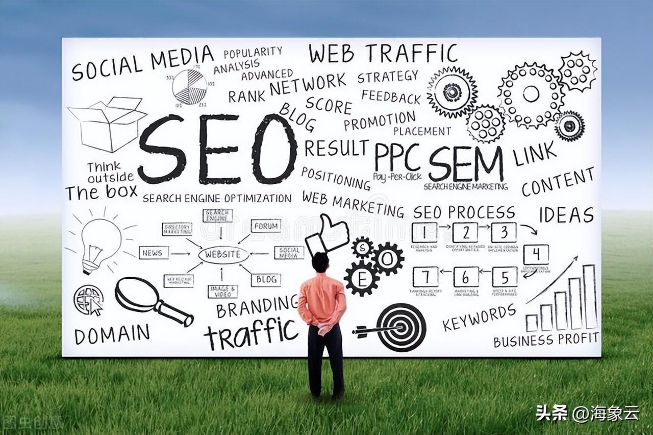 seo如何优化文章（seo网站优优化案例）
