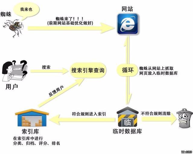 网站如何查看百度蜘蛛（百度蜘蛛爬几次网站能收录）