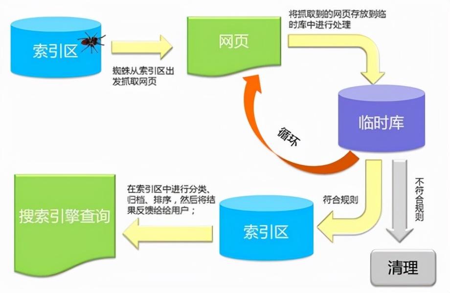网站如何查看百度蜘蛛（百度蜘蛛爬几次网站能收录）