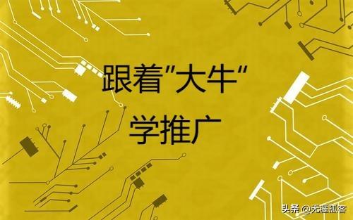 蜘蛛池是干嘛的（蜘蛛池真的能收录网站吗）