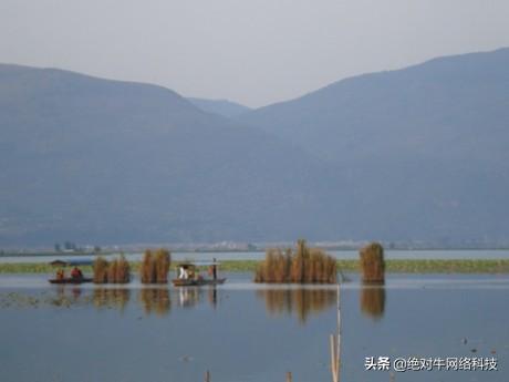 网站关键词没有排名怎么办（百度一直不收录内页怎么办）