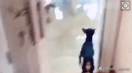 如何让网站长尾关键词有排名（百度推广怎么提高关键词排名）