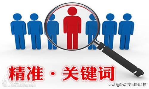 大型流量网站有哪些优化技巧呢（网站建设优化的技巧）