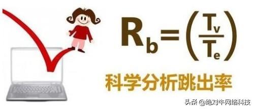 大型流量网站有哪些优化技巧呢（网站建设优化的技巧）