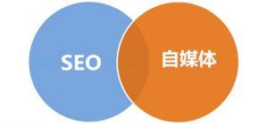 seo属于运营还是技术（自媒体那么多,我还需要做网站seo吗）