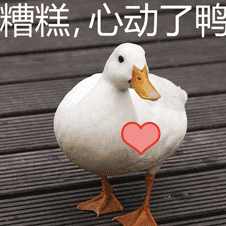 建立有效着陆网页的9个关键点是什么（提高着陆页质量的方法）