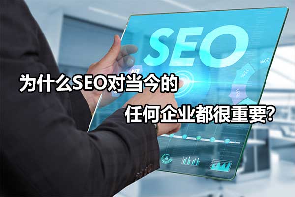 做seo最关键的有哪些（企业为什么要做seo）