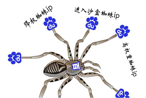 网站怎么引蜘蛛（搜索引擎优化教程SEO技术）