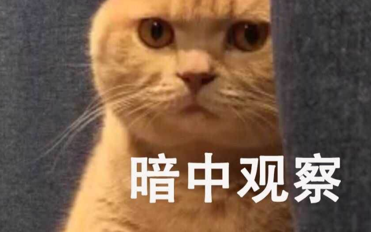有收录没排名解决办法（网站没有流量关键词有排名吗）